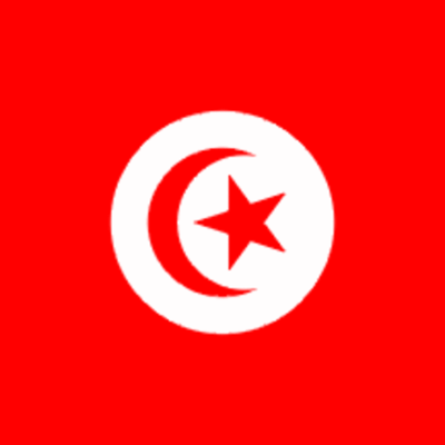 Timeline: Comparitive Arab Spring Timeline