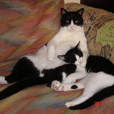 Timeline: História da Computação e a Evolução dos Games (Rubens, Franciele)