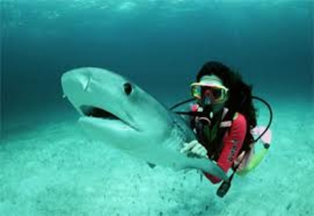 learn how to scuba dive