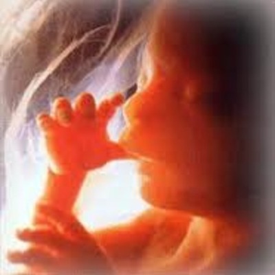 Timeline: Prenatal and Pregnancy Development