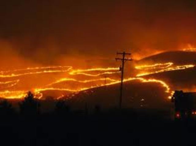 The Major Wildfire