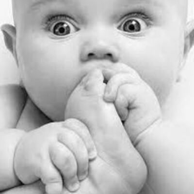 Timeline: Pregnancy and Prenatal  Development