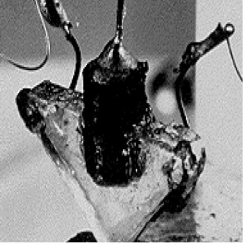 Invenção do Transistor