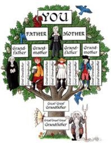Create my family tree