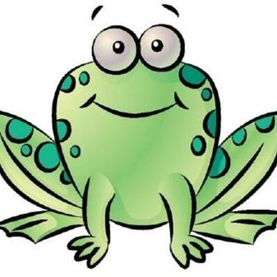 Timeline: The Life Cycle of a Frog