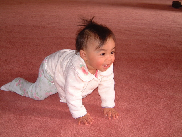 Start to crawl.