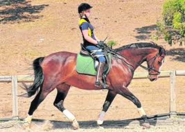 2007/2008 Beijing Paralympics Games