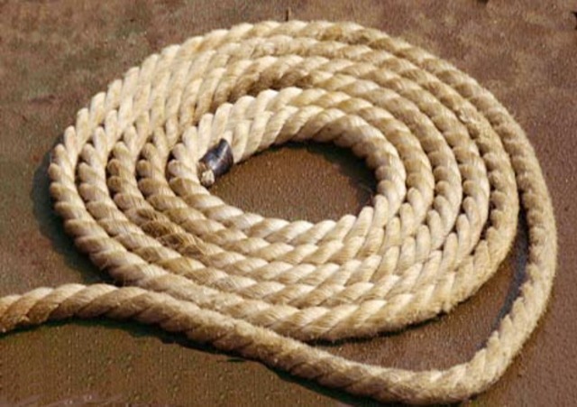 Why Bryce is a Paralympian!