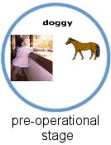 Enters preoperational stage.