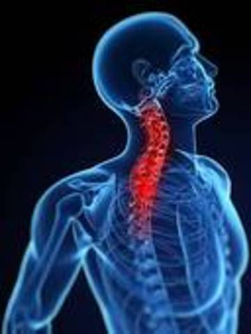 Di Toro did not finish the Japanese Open