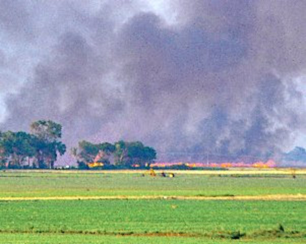 Famine on the Plains