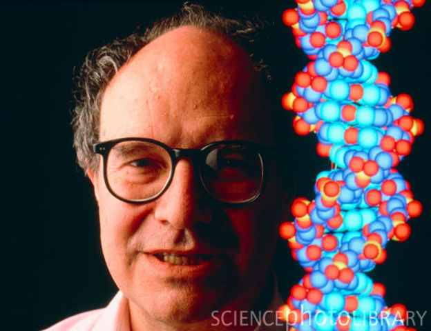 le prix nobel de chimie