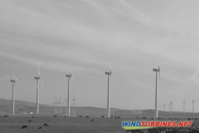 Washington and Hawaii, US