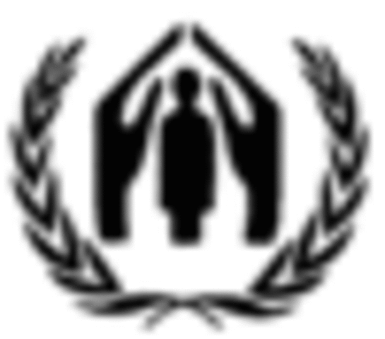 Asamblea General de las Naciones Unidas