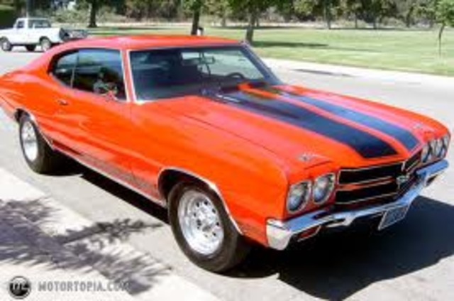 Buy a 1969 chevy chevelle SS