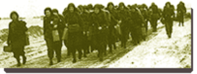 WAAC - Women's Army Auxiliary Corps