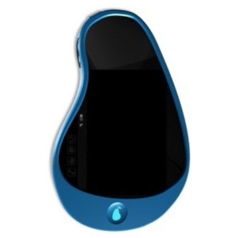 James No-Jobs - The Company Pear