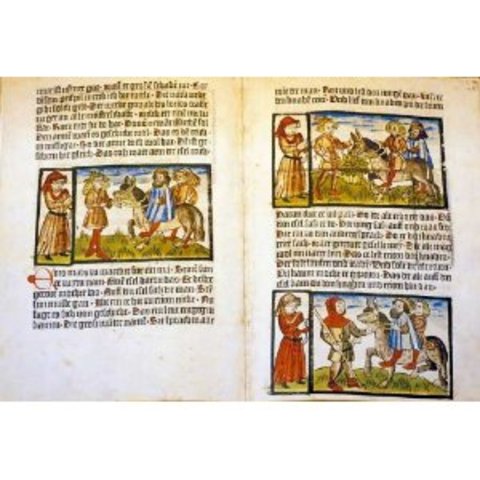 Primer llibre ilustrat