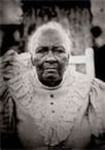 preforms with jazz cats