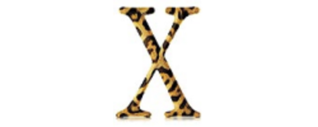 Mac OS X v10.2 "Jaguar"