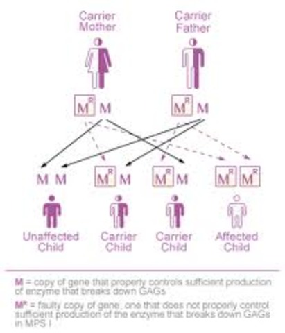 Transferred Material