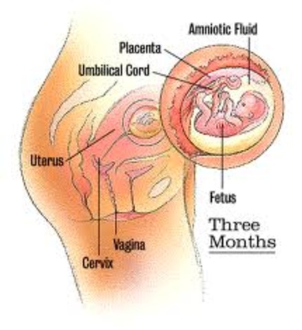 Month 3- Mom and Baby