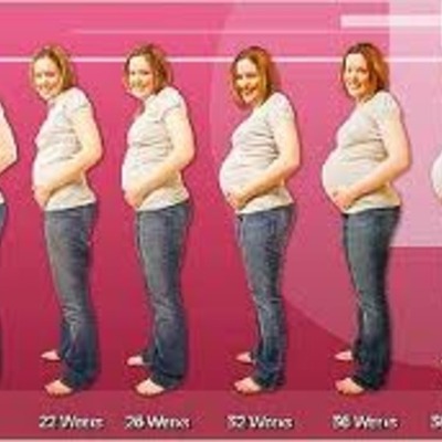 Timeline: Pregnancy And Prenatal Development