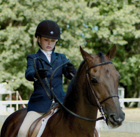 Stated Riding Lessons