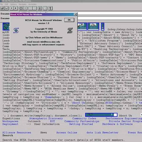 The World Wide Web is introduced to the public