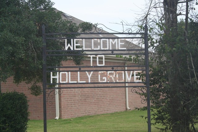 Holly Grove