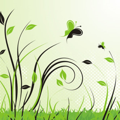 Timeline: Medio Amibiente