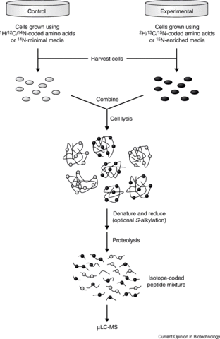 Discovered Stable Isotopes