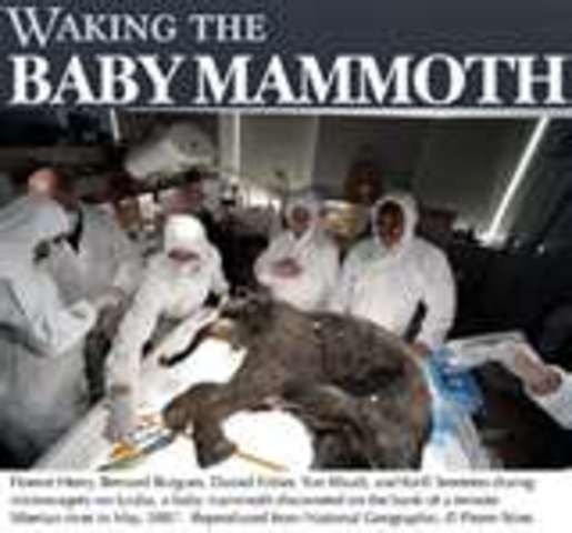 Mammoth?