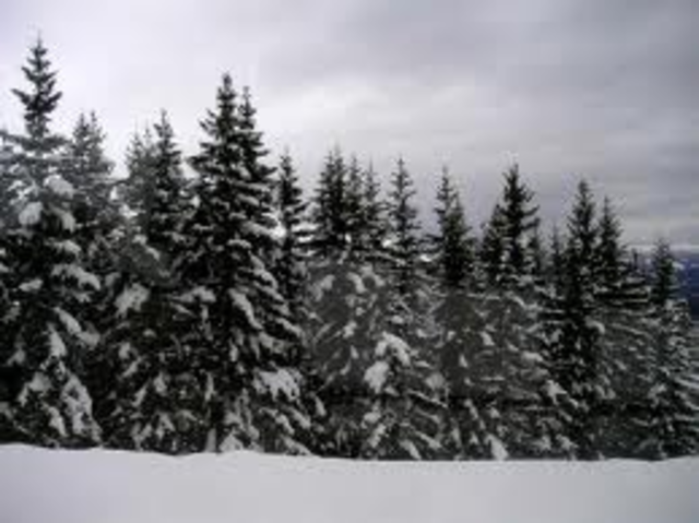 Little Island was found along with the Cascade Forest