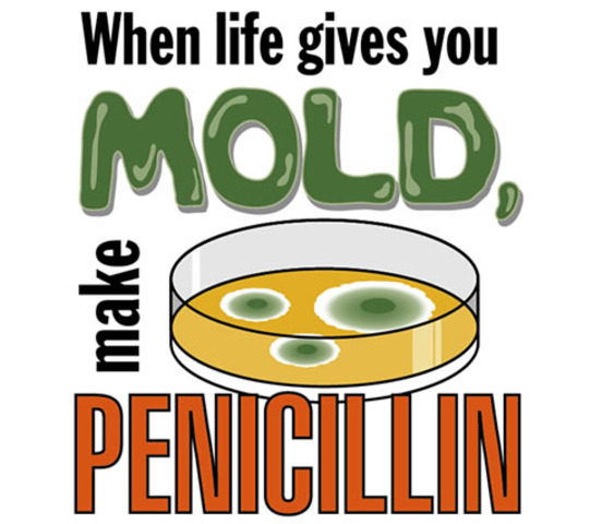 Sir Alexander Fleming isolated penicillin