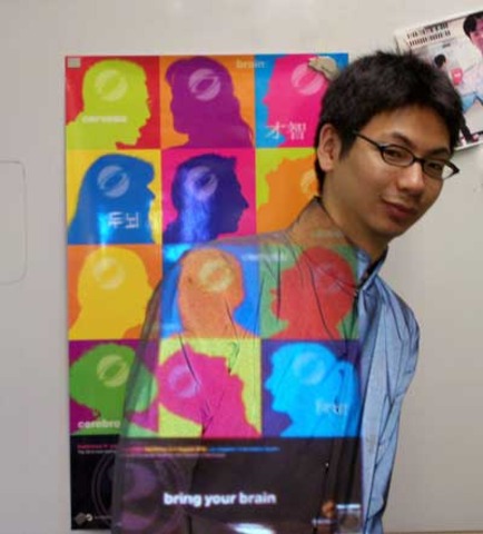 Optical camoflauge system