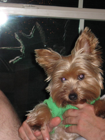 Lola became part of the family