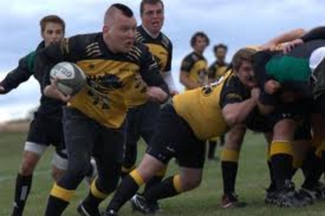 Be Wayne State Wildcats Scrum Half