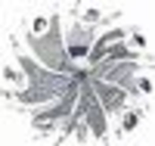 Convencion Internacional Sobre la ELIMINACION de sabor Todas las Formas de discriminacion racial.