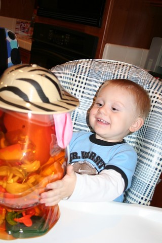 Little Brother is Born