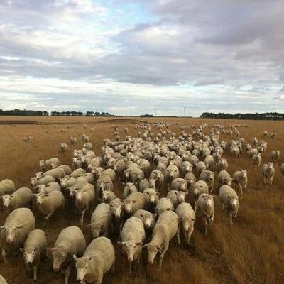 Timeline: Kathryn's journey