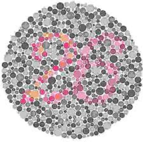 Nicole's 26th birthday