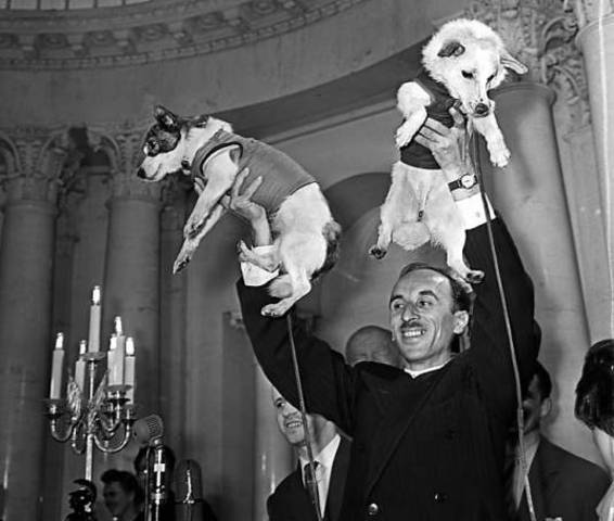 First animals to return from orbit alive