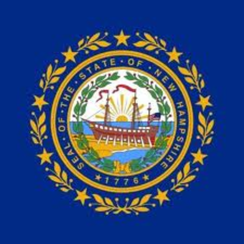 New hampshire adopts the constitution