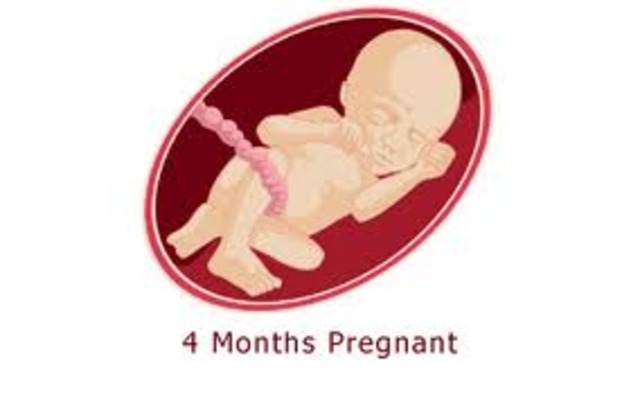 Month 4 Baby
