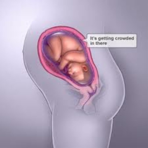 -Month 7, Mother and Baby.