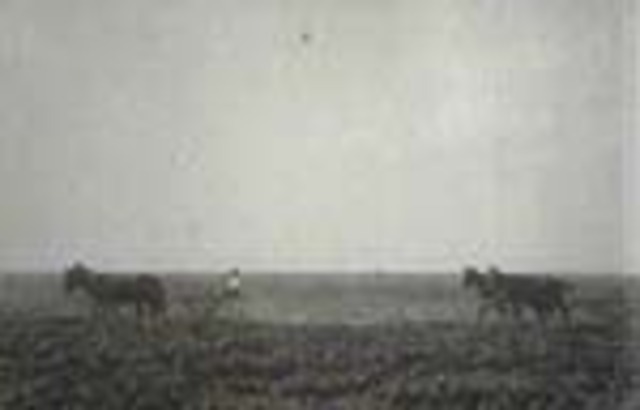 Film Clip, Alfalfa Farm near Deming