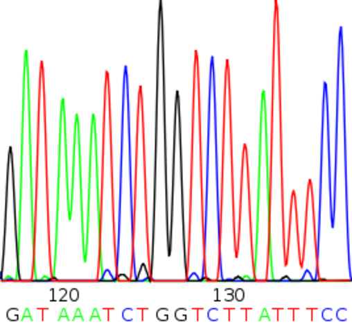 Sequencing DNA