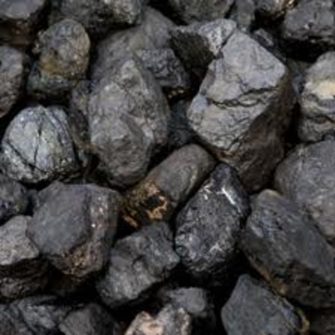 Coal discovered