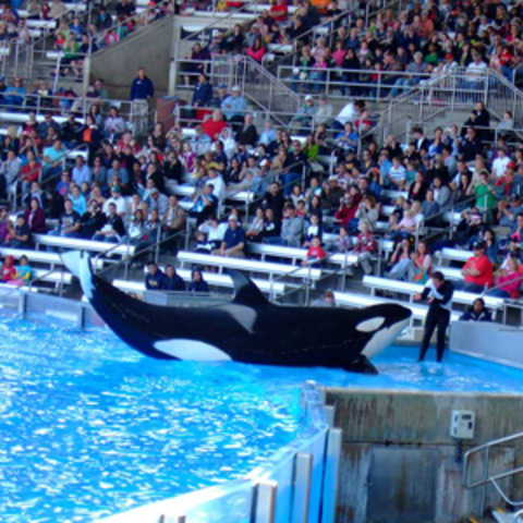 I Went to Florida for the first time